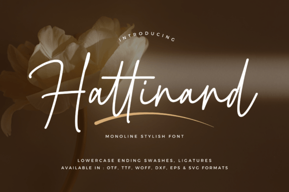 Hattinand: Elegant Script Font for Crafters