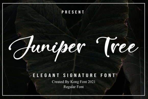 Juniper Tree Font: Playful Typography for Marketers