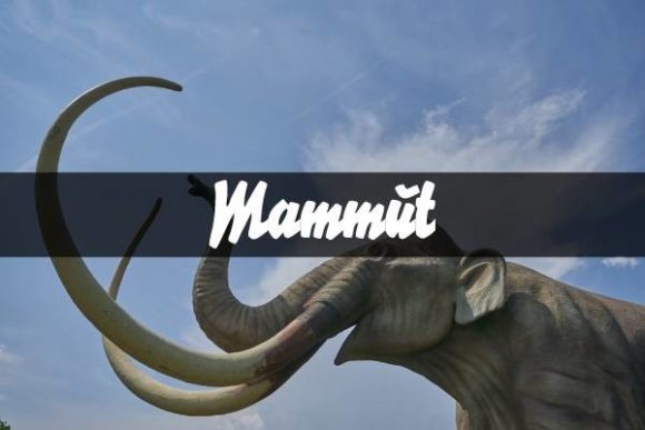 Mammut: A Handwritten Font for Creative Projects