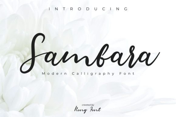 Sambara: A Playful Font for Creative Campaigns
